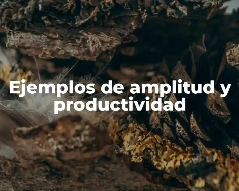 Ejemplos de amplitud y productividad