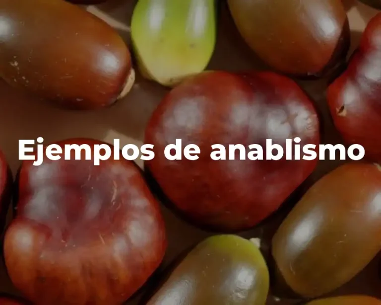 Ejemplos de anablismo