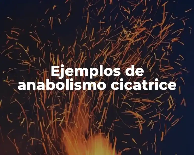 Ejemplos de anabolismo cicatrice