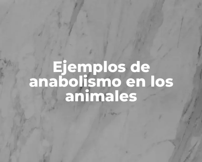 Ejemplos de anabolismo en los animales