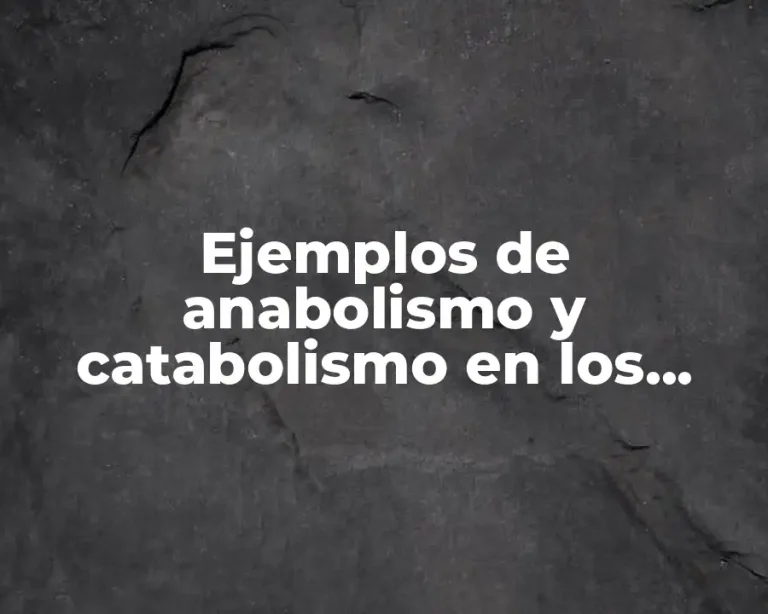 Ejemplos de anabolismo y catabolismo en los seres vivos