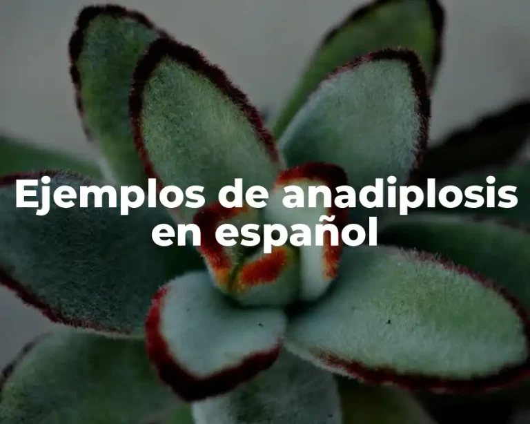 Ejemplos de anadiplosis en español