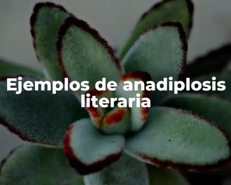 Ejemplos de anadiplosis literaria