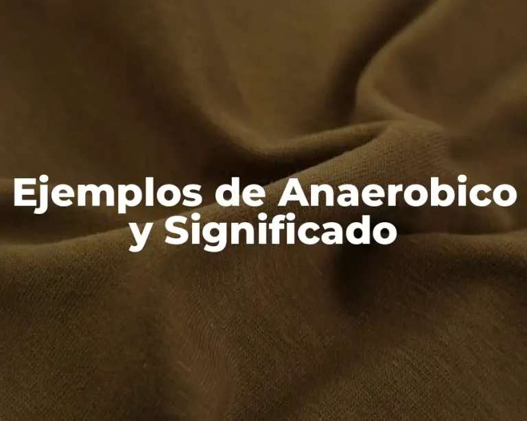 Ejemplos de Anaerobico y Significado