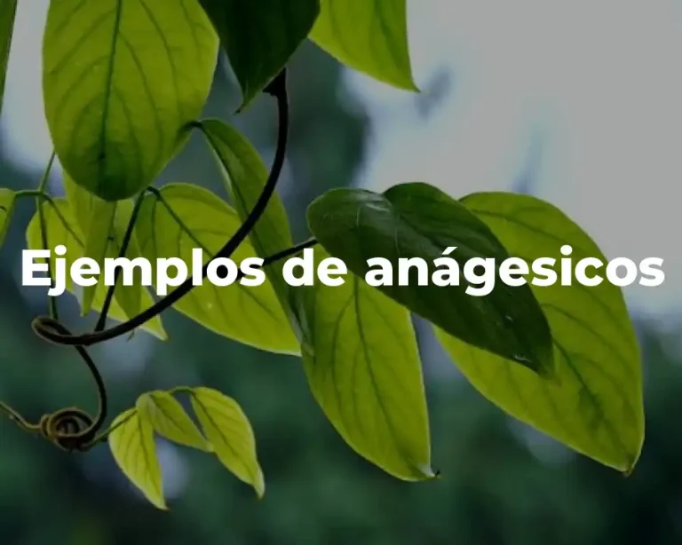 Ejemplos de anágesicos