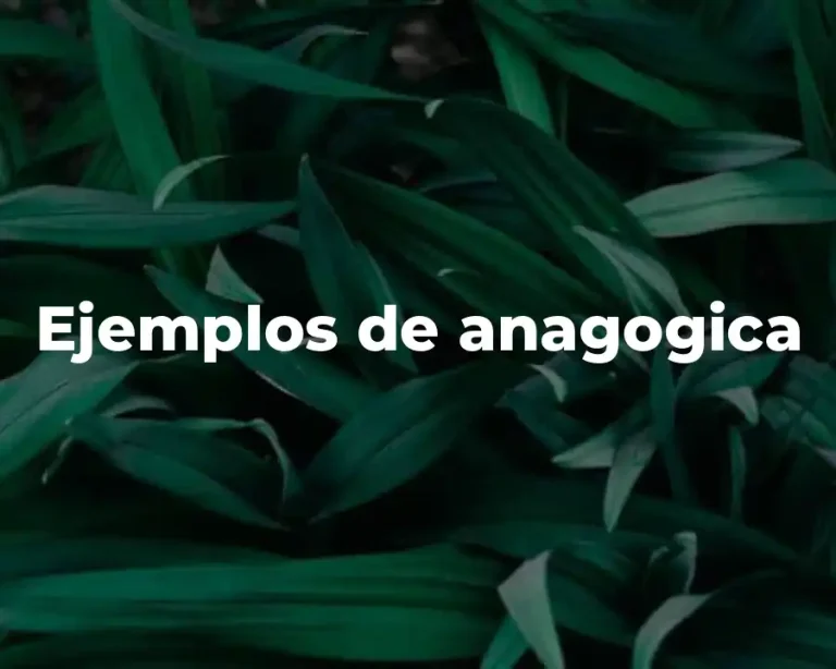 Ejemplos de anagogica