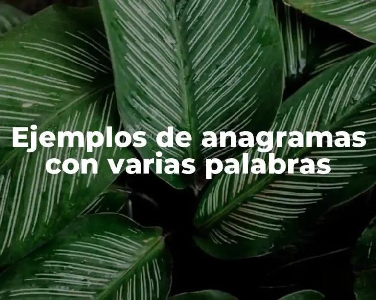 Ejemplos de anagramas con varias palabras