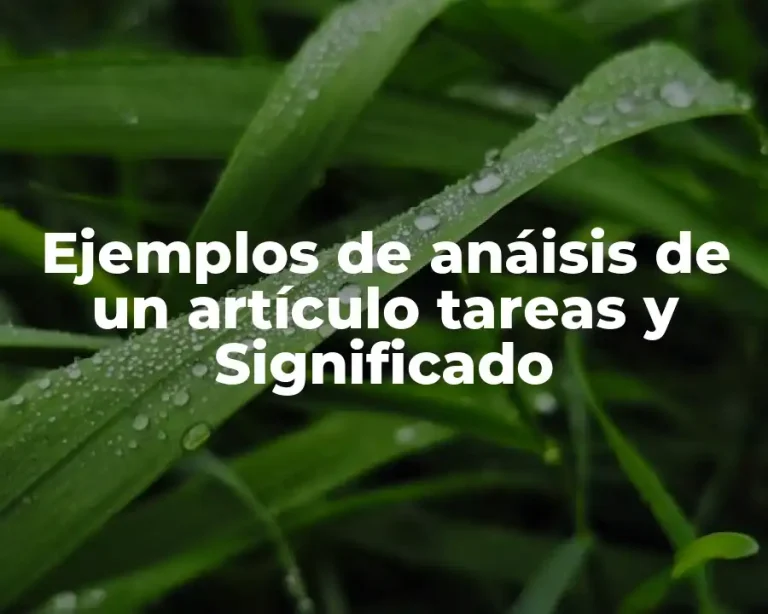 Ejemplos de anáisis de un artículo tareas y Significado