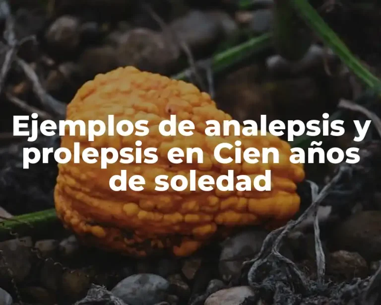 Ejemplos de analepsis y prolepsis en Cien años de soledad