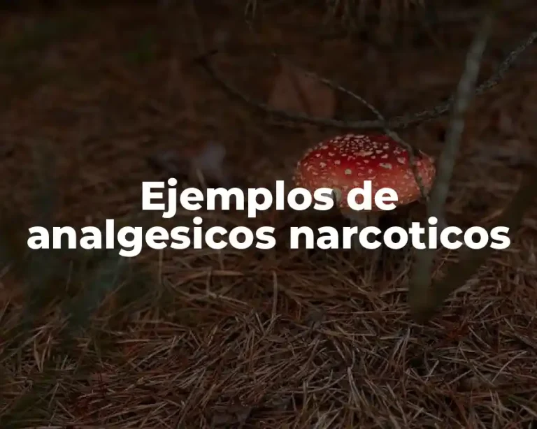 Ejemplos de analgesicos narcoticos