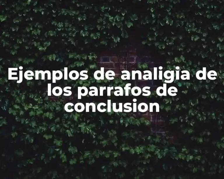 Ejemplos de analigia de los parrafos de conclusion