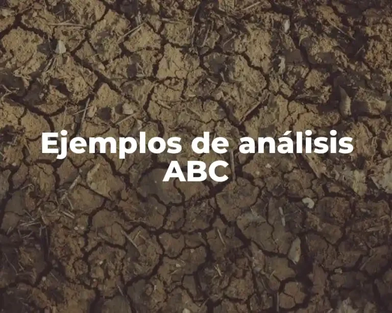 Ejemplos de análisis ABC