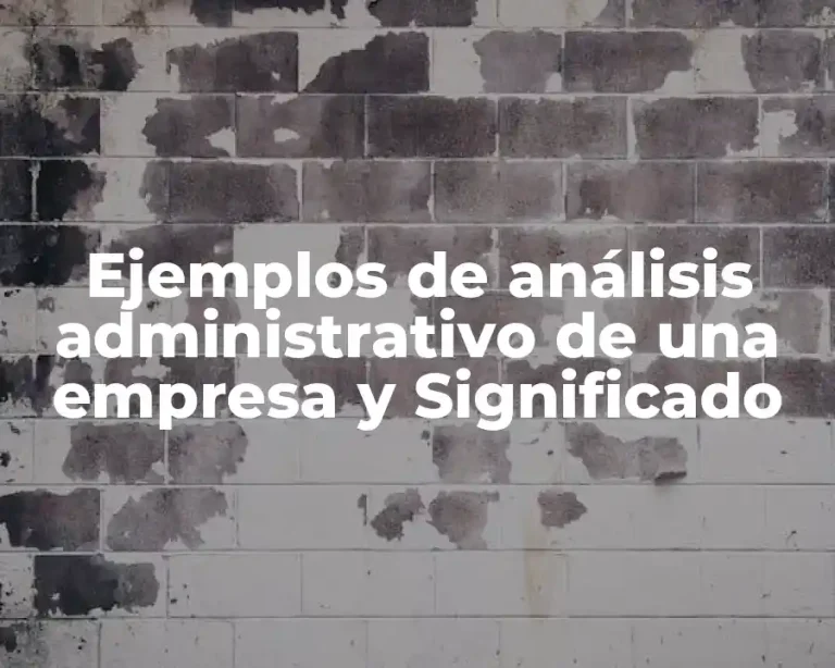 Ejemplos de análisis administrativo de una empresa y Significado