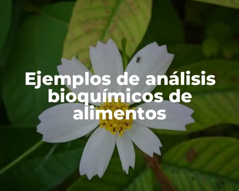 Ejemplos de análisis bioquímicos de alimentos