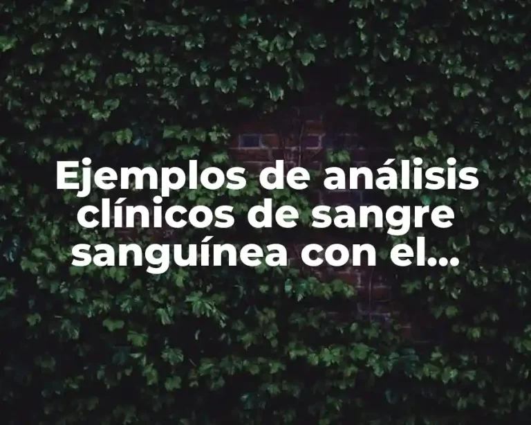 Ejemplos de análisis clínicos de sangre sanguínea con el glucometro