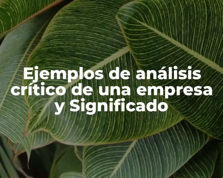 Ejemplos de análisis crítico de una empresa y Significado