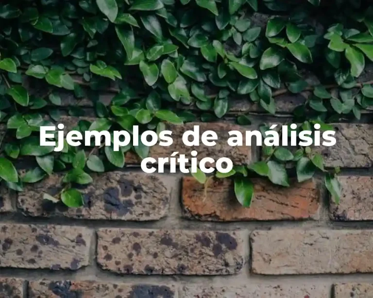 Ejemplos de análisis crítico