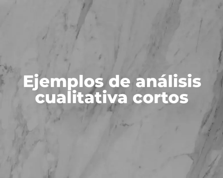Ejemplos de análisis cualitativa cortos