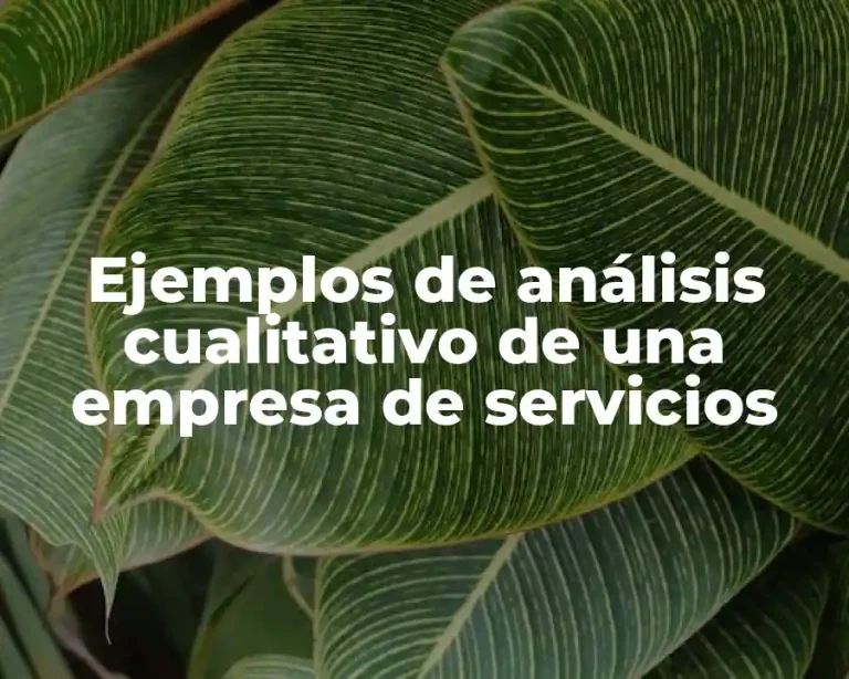 Ejemplos de análisis cualitativo de una empresa de servicios