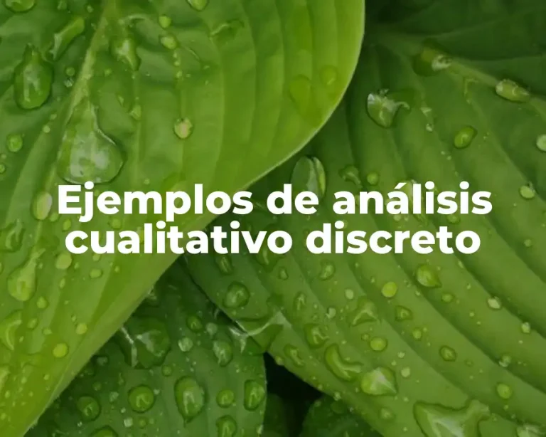 Ejemplos de análisis cualitativo discreto