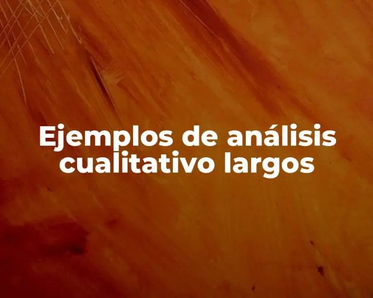 Ejemplos de análisis cualitativo largos