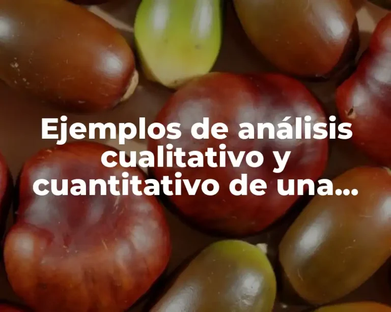 Ejemplos de análisis cualitativo y cuantitativo de una empresa