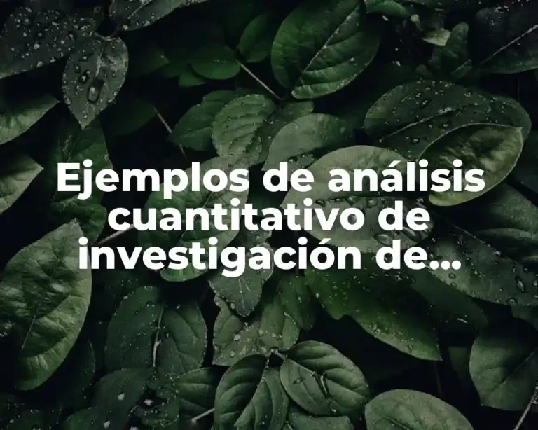 Ejemplos de análisis cuantitativo de investigación de operaciones