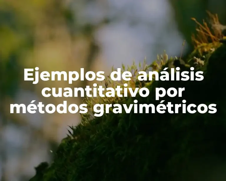 Ejemplos de análisis cuantitativo por métodos gravimétricos