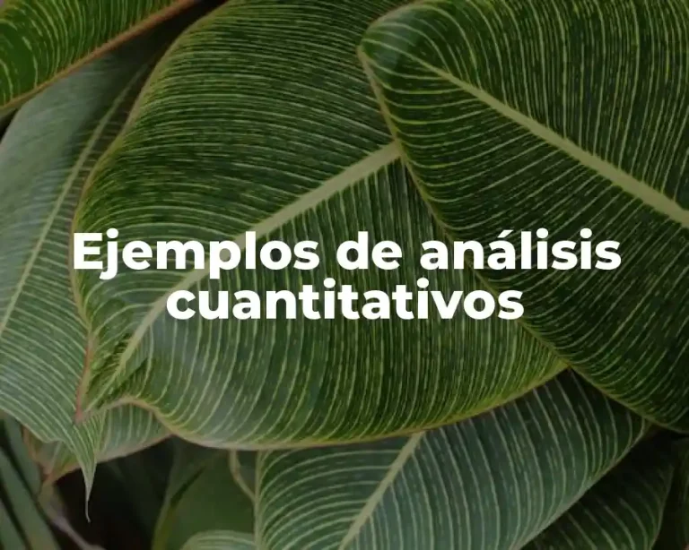 Ejemplos de análisis cuantitativos