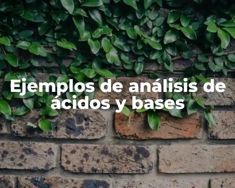 Ejemplos de análisis de ácidos y bases