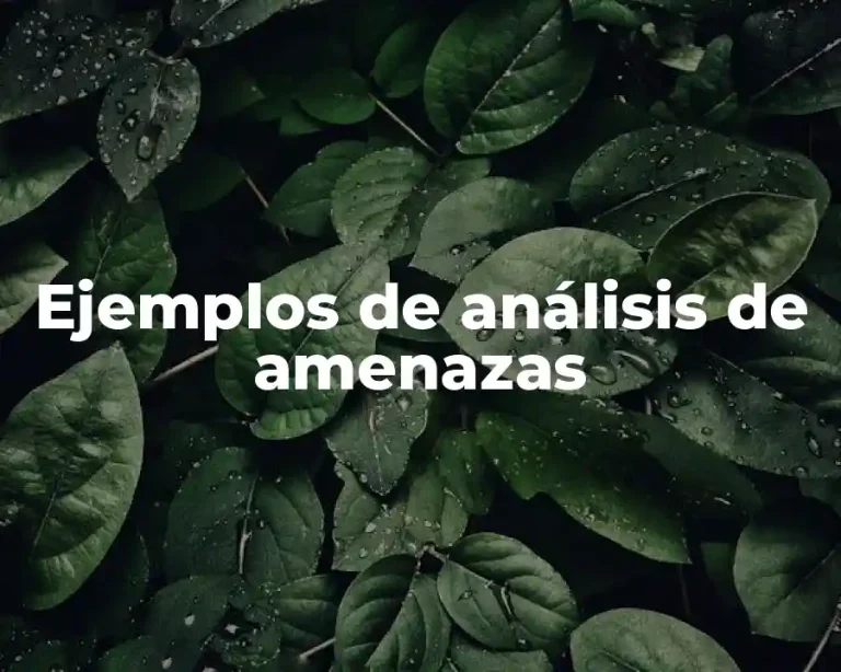 Ejemplos de análisis de amenazas