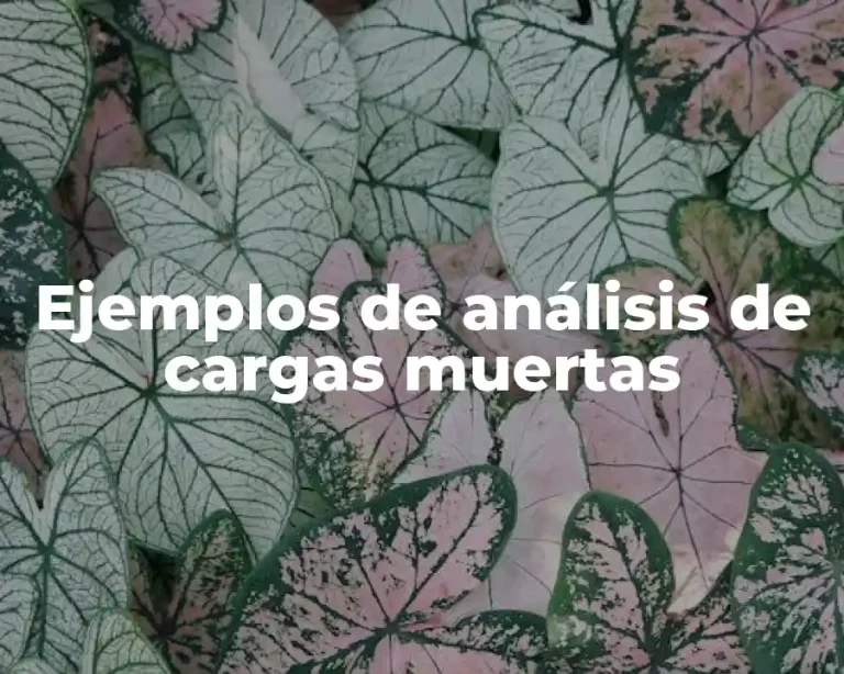 Ejemplos de análisis de cargas muertas