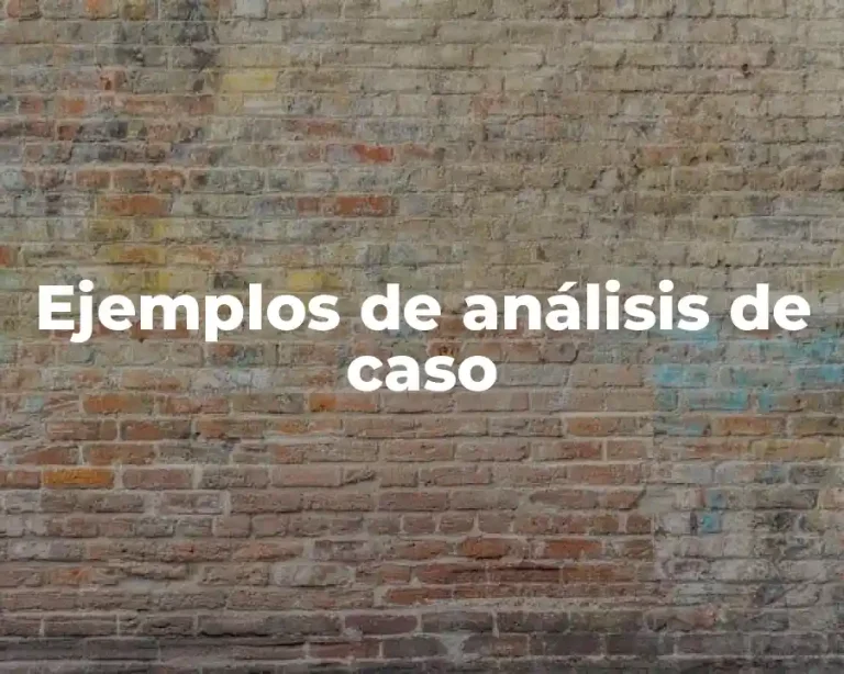 Ejemplos de análisis de caso