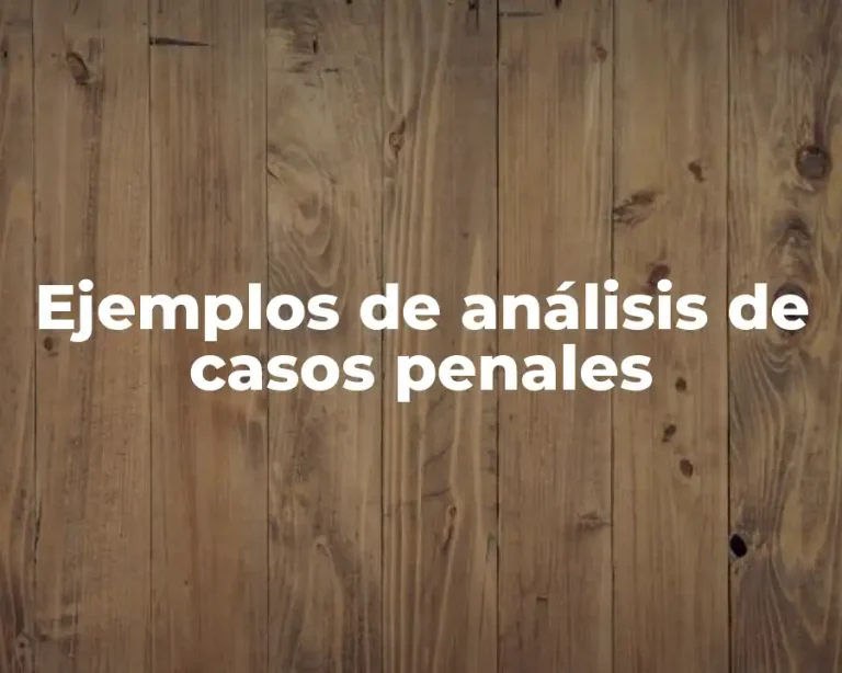 Ejemplos de análisis de casos penales