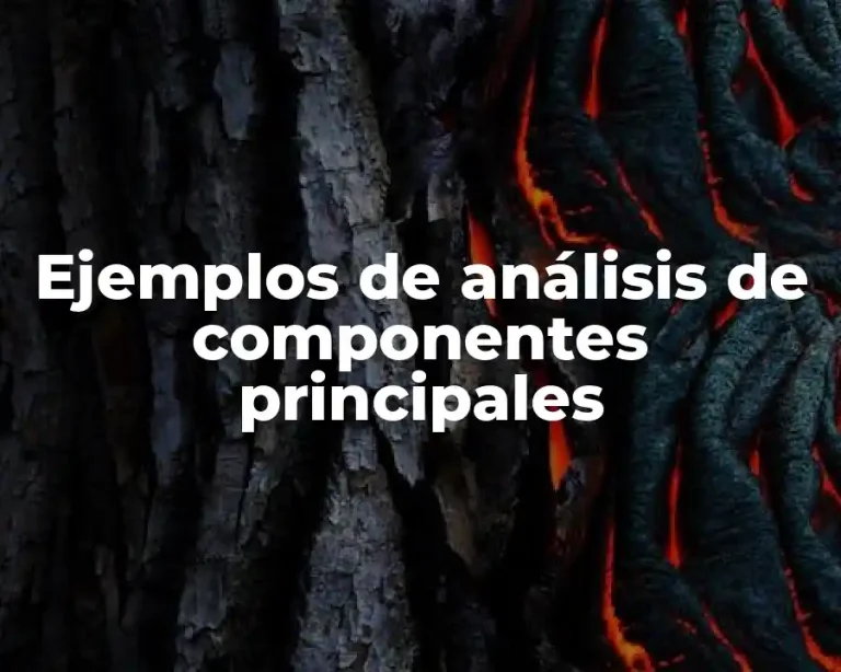 Ejemplos de análisis de componentes principales