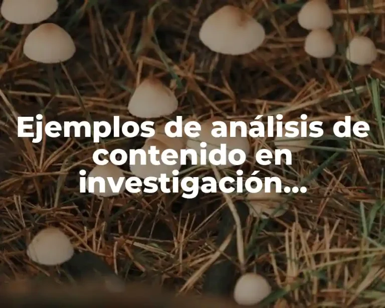 Ejemplos de análisis de contenido en investigación cualitativa