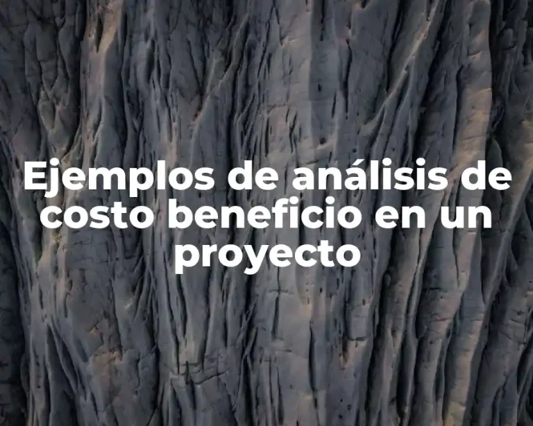 Ejemplos de análisis de costo beneficio en un proyecto