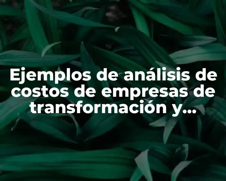 Ejemplos de análisis de costos de empresas de transformación y Significado