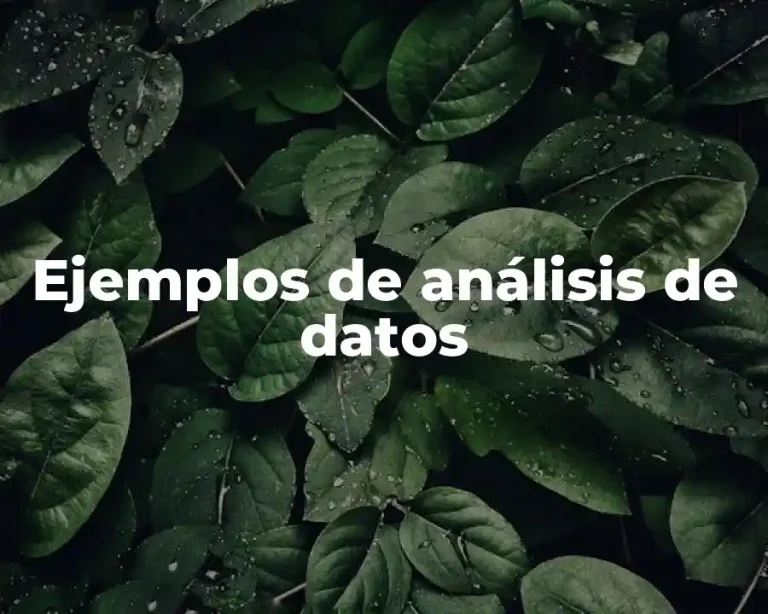 Ejemplos de análisis de datos