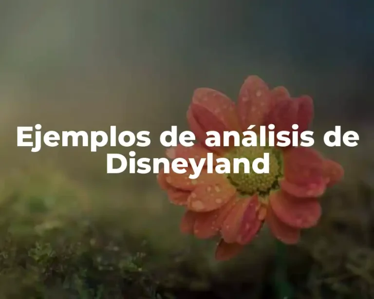 Ejemplos de análisis de Disneyland