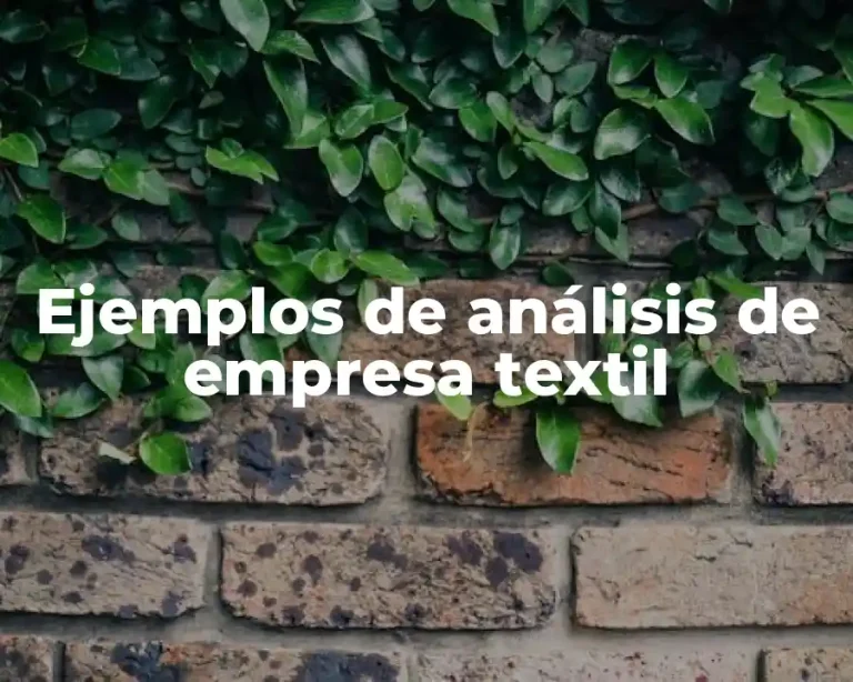 Ejemplos de análisis de empresa textil