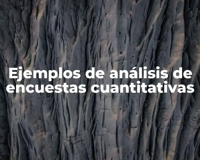 Ejemplos de análisis de encuestas cuantitativas