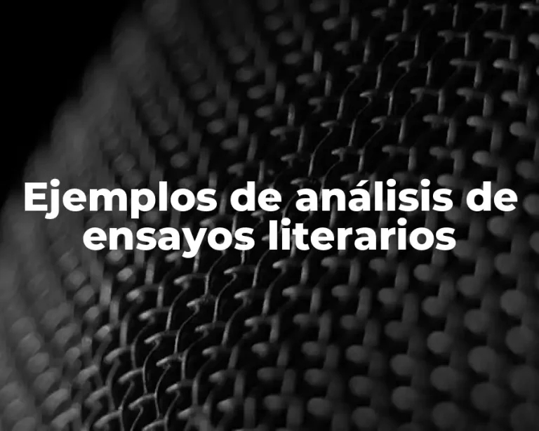 Ejemplos de análisis de ensayos literarios