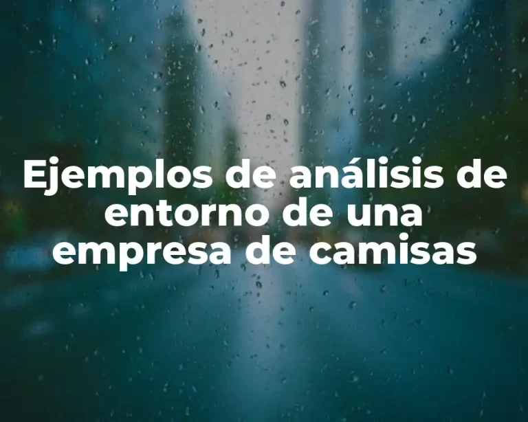 Ejemplos de análisis de entorno de una empresa de camisas