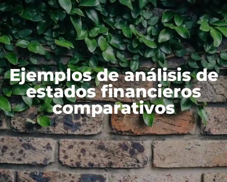 Ejemplos de análisis de estados financieros comparativos