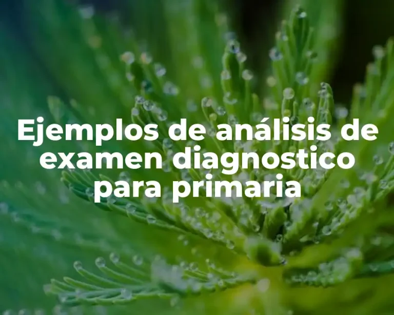 Ejemplos de análisis de examen diagnostico para primaria