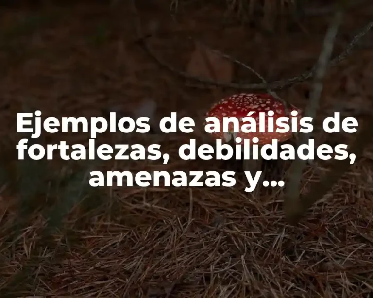 Ejemplos de análisis de fortalezas, debilidades, amenazas y oportunidades