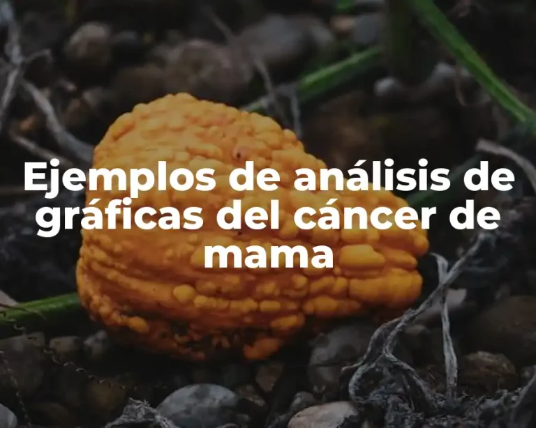 Ejemplos de análisis de gráficas del cáncer de mama