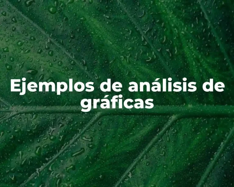 Ejemplos de análisis de gráficas