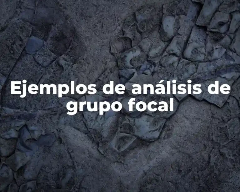 Ejemplos de análisis de grupo focal